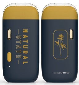 Disposable Vape - Tropical Runtz FS Sauce Stone - NSM | The Greenery