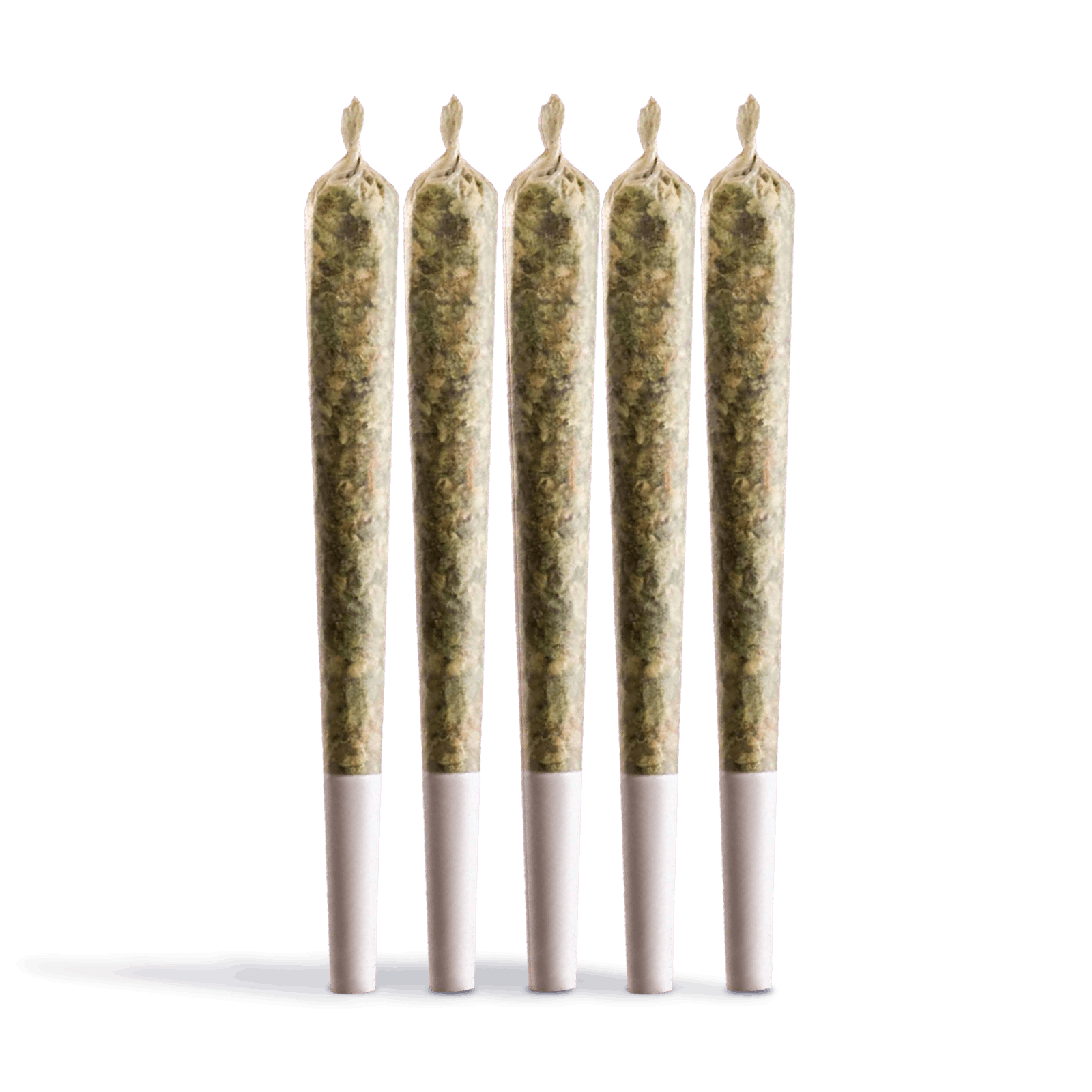 Fully charged atomic gmo 5-pack | 2. 5g