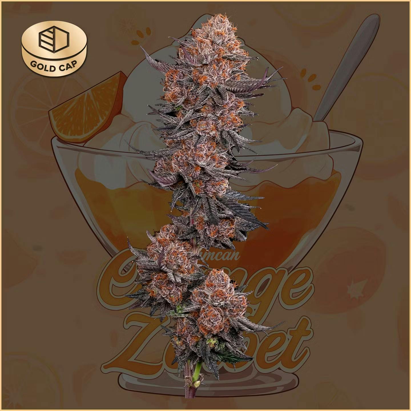 CommCan - Flower 3.5g - Orange Zorbet