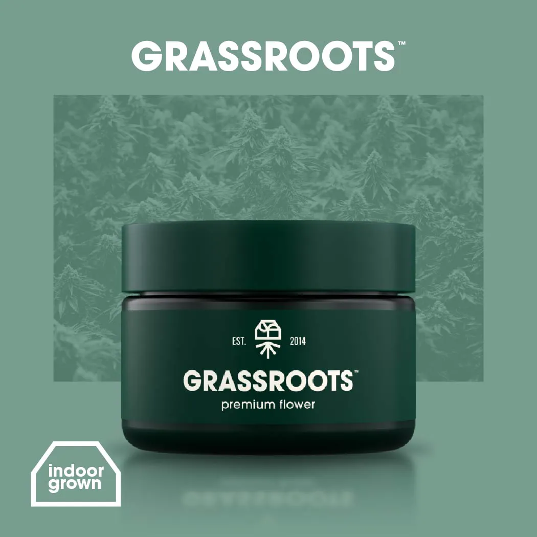 Grassroots | Flower | Novarine | Dutchess Roots