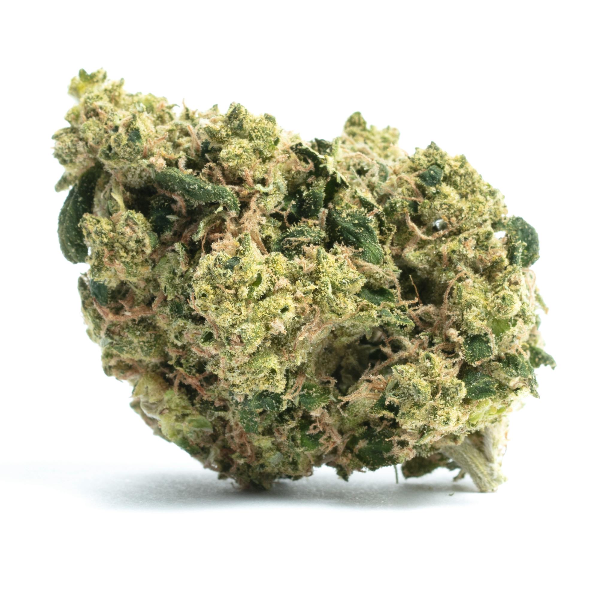 Mitten Extracts MITTEN EXTRACTS | PINEAPPLE CHUNK | SMALLS | BULK | SATIVA — FLOWER