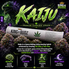 KOB - 1g Preroll - Kaiju - PRE_ROLLS by King Of Budz at King of Budz