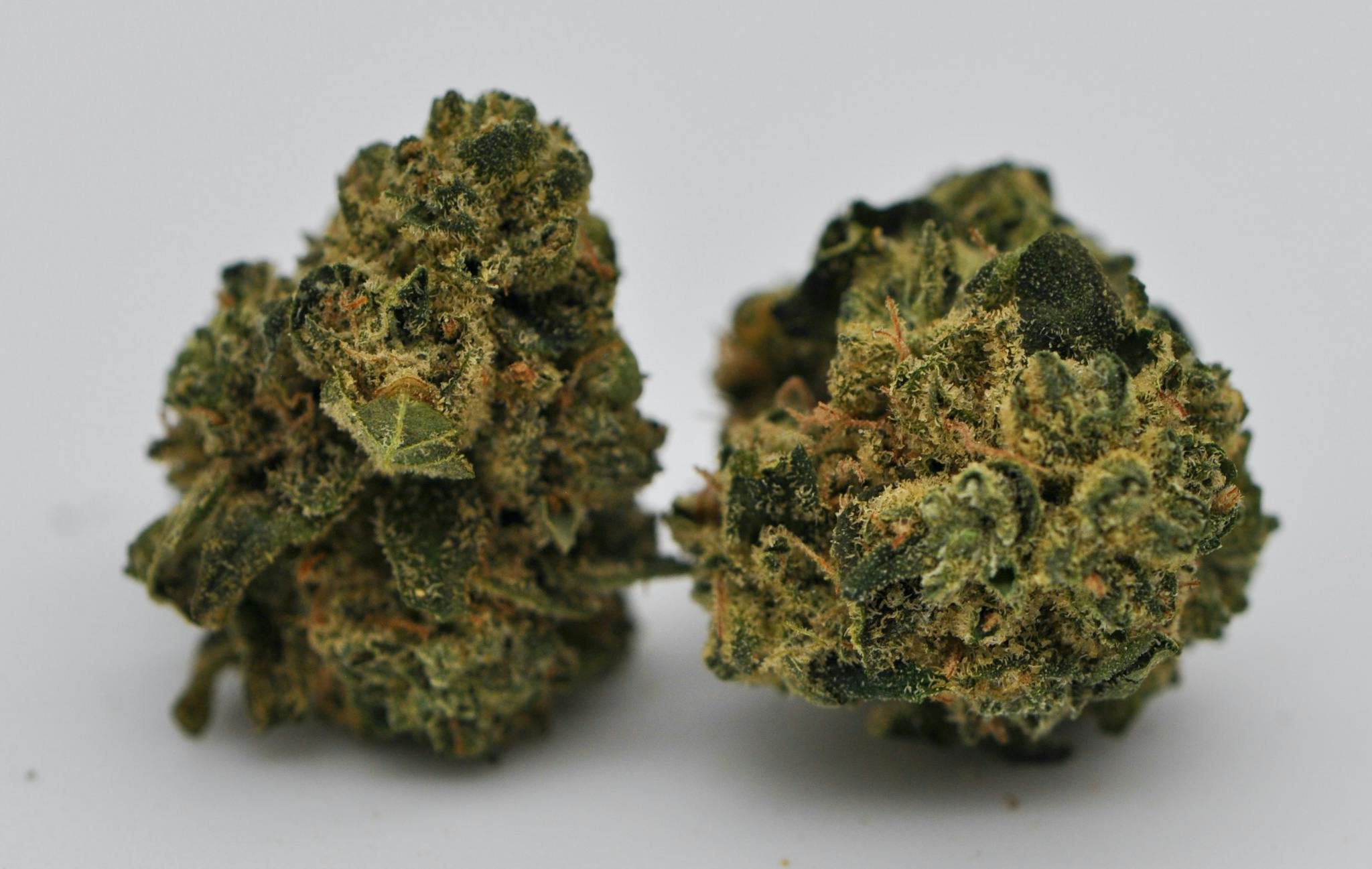 image of Oakland Piff | 3.5g Prepackaged Flower
