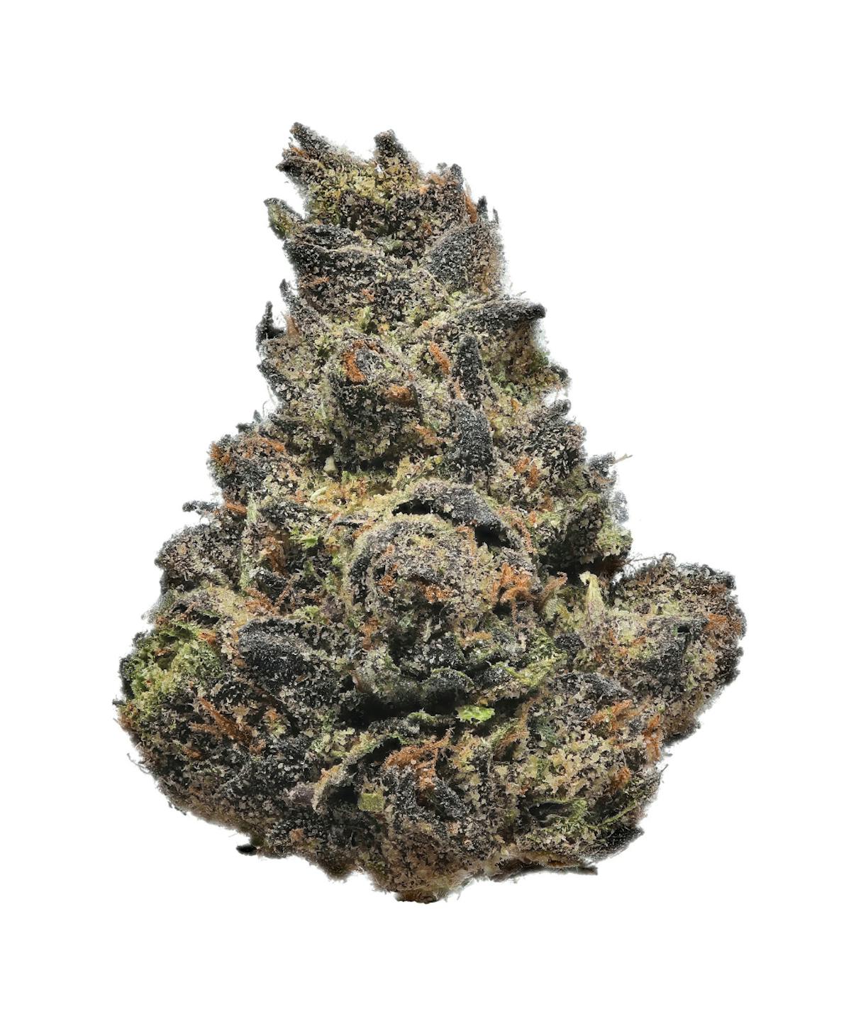 Image of Ice Cream Cake | 14g