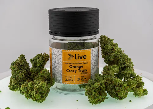 Live | Orange Crazy Train | Flower-active