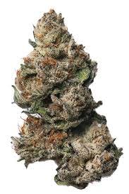 Exotic Genetix EXOTIC GENETIX | DRIP STATION | SMALLS | BULK | HYBRID — FLOWER