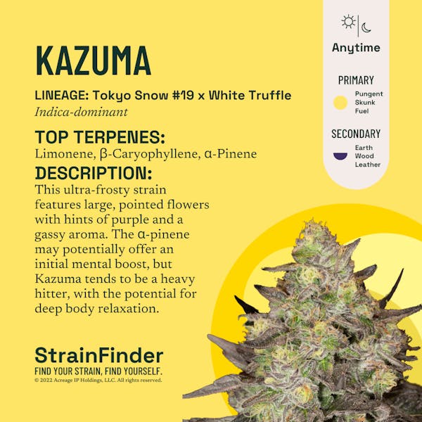 Kazuma (I) - 14g Buds - The Botanist