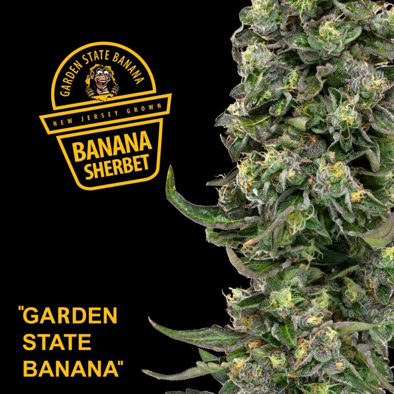 Photo of GSB | Banana Sherbet