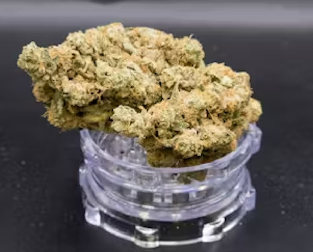 Photo of Silver Shelf – Super Lemon Haze x Mac #3 (S)