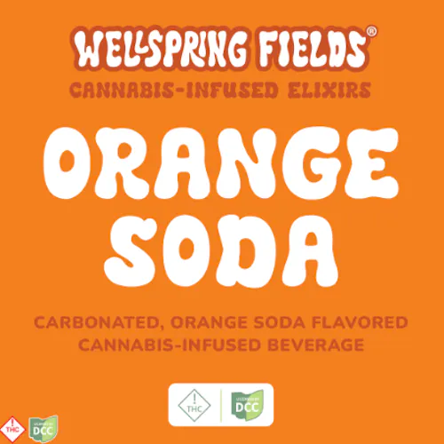 Orange Soda Extra Strength | Infused Elixirs  l 2pk | 200mg-1