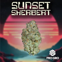 Sunset Sherbert 1g Pre-Roll - product image at King of Budz