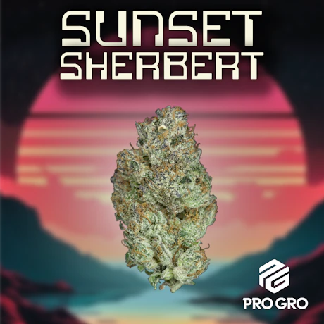Sunset Sherbert 1g Pre-Roll - product image at King of Budz