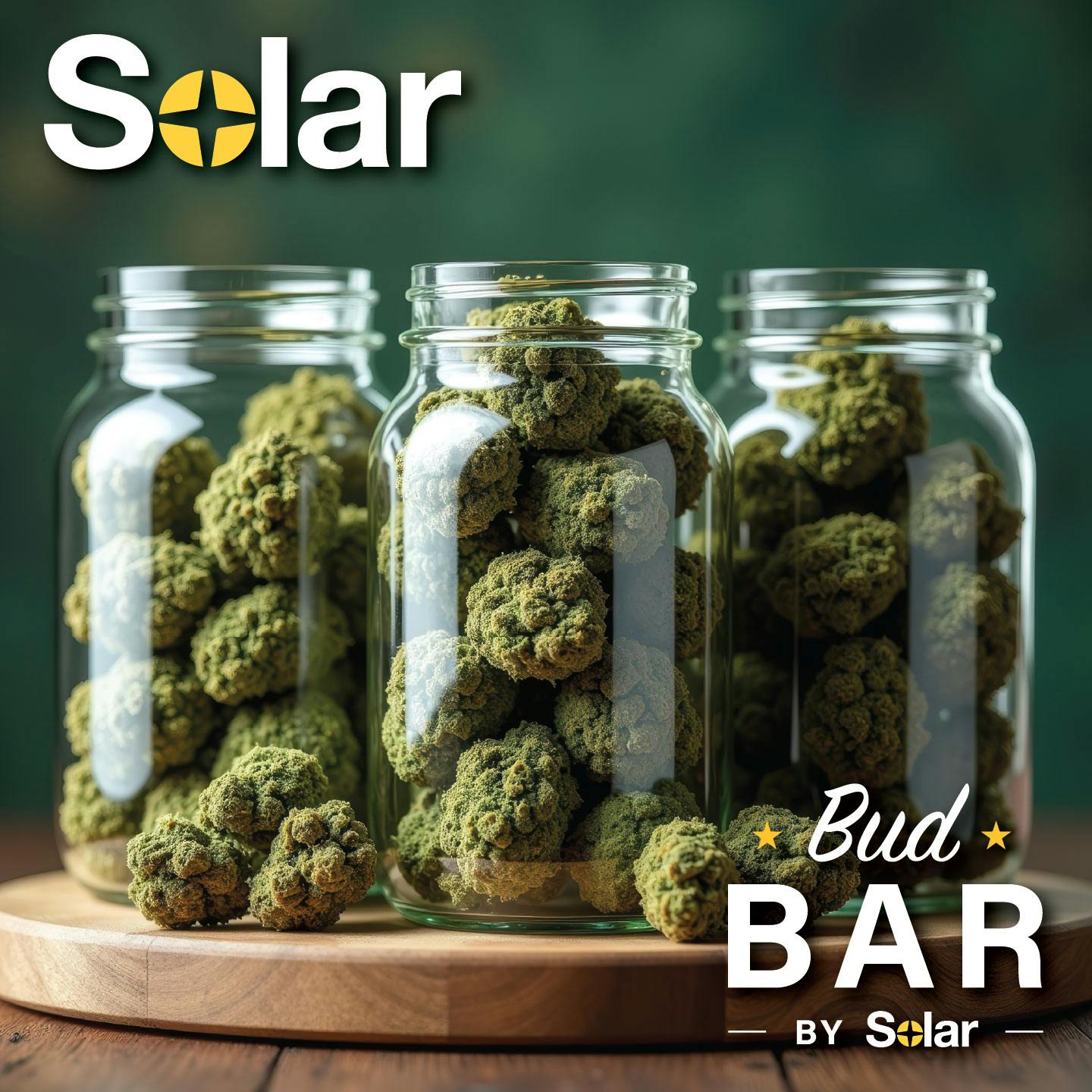 SUN(電子) CBD-K045