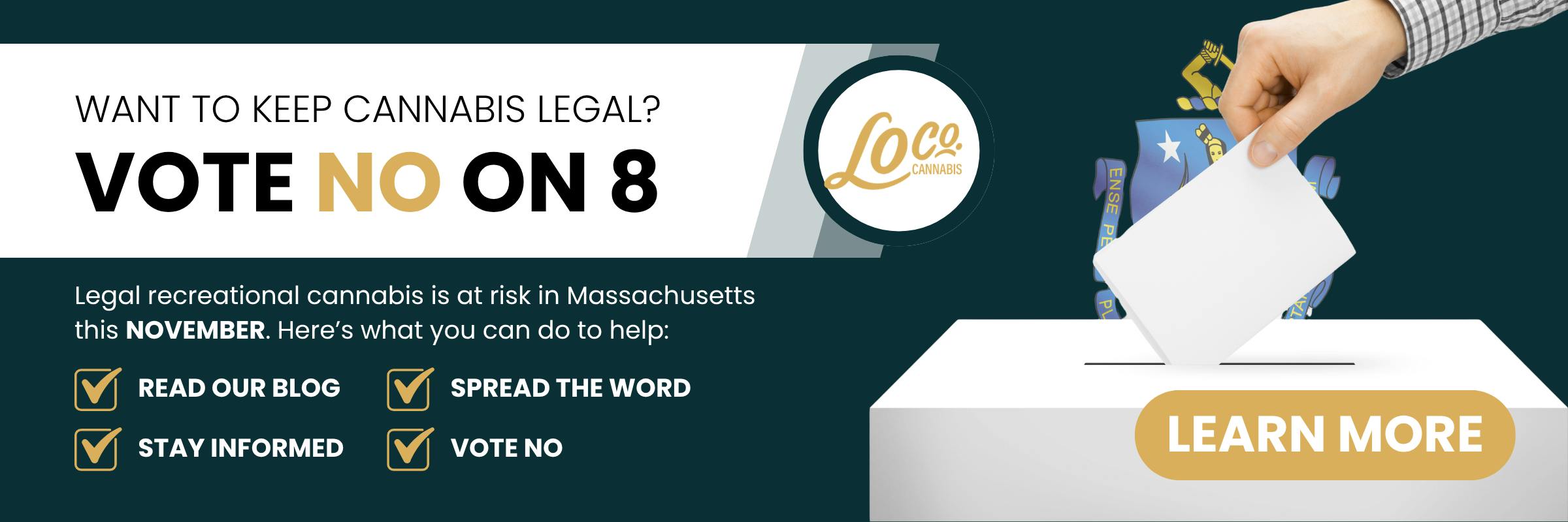 vote no on question 8