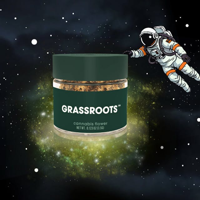 Astro GMO (I) - 14g Flower - Find. - Image 2