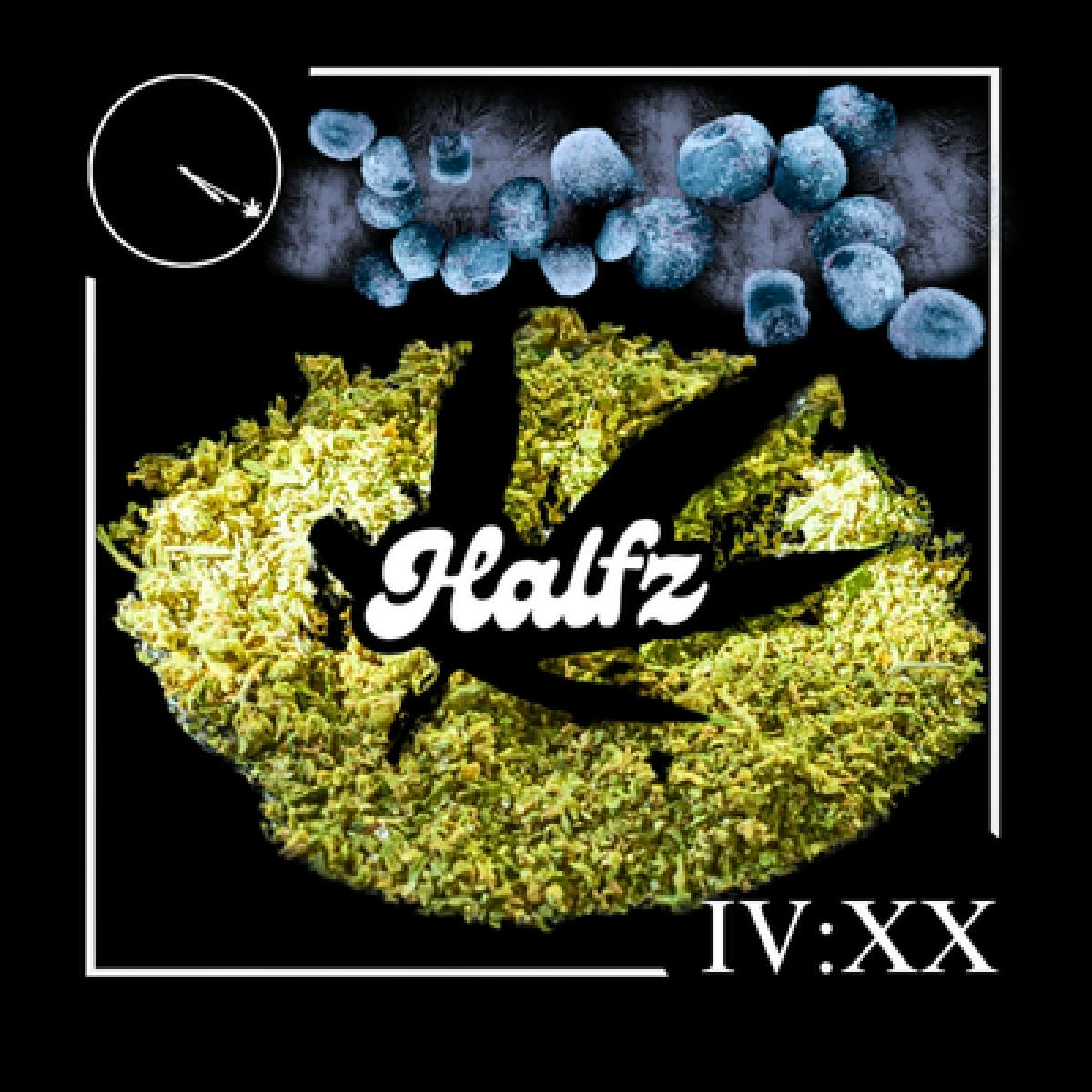 Four20 - Pre-Ground 14g - Frozen Blueberries