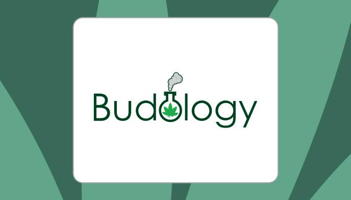 Budology logo