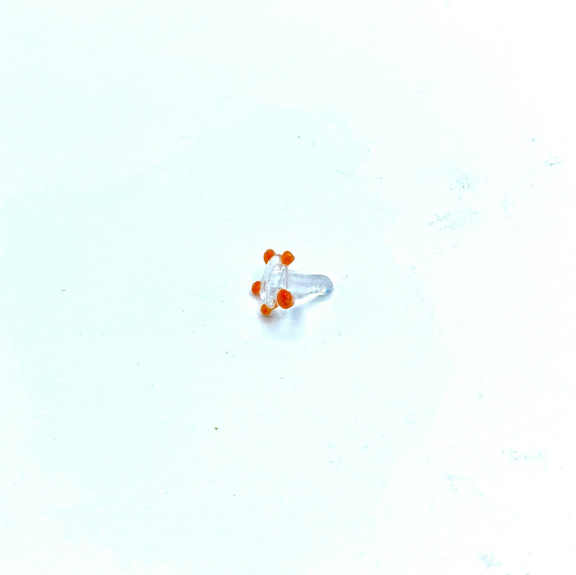 Product: Glass Screen | Luvbuds