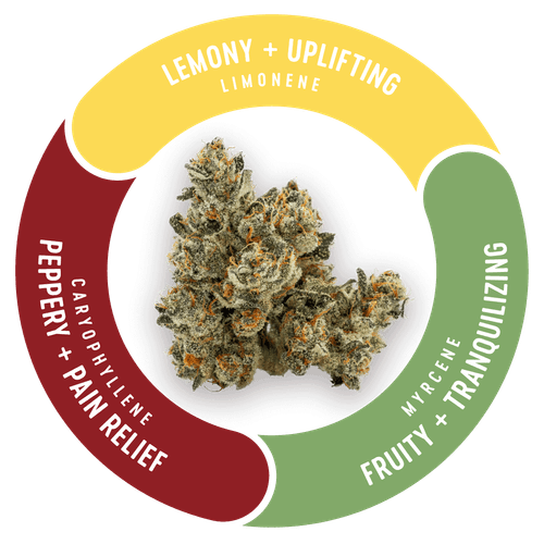 Photo of Grease Monkey | 3.5g