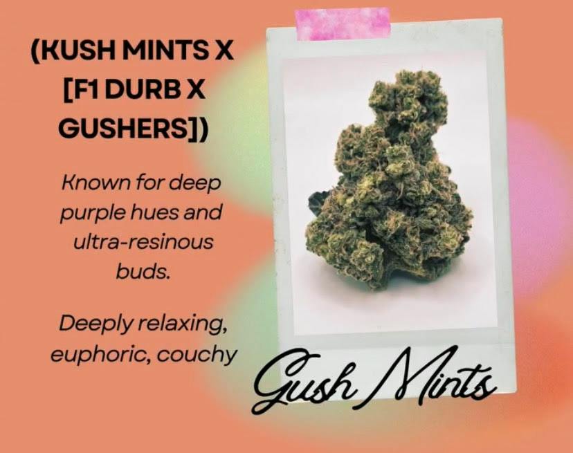 Image of Gush Mints (I)