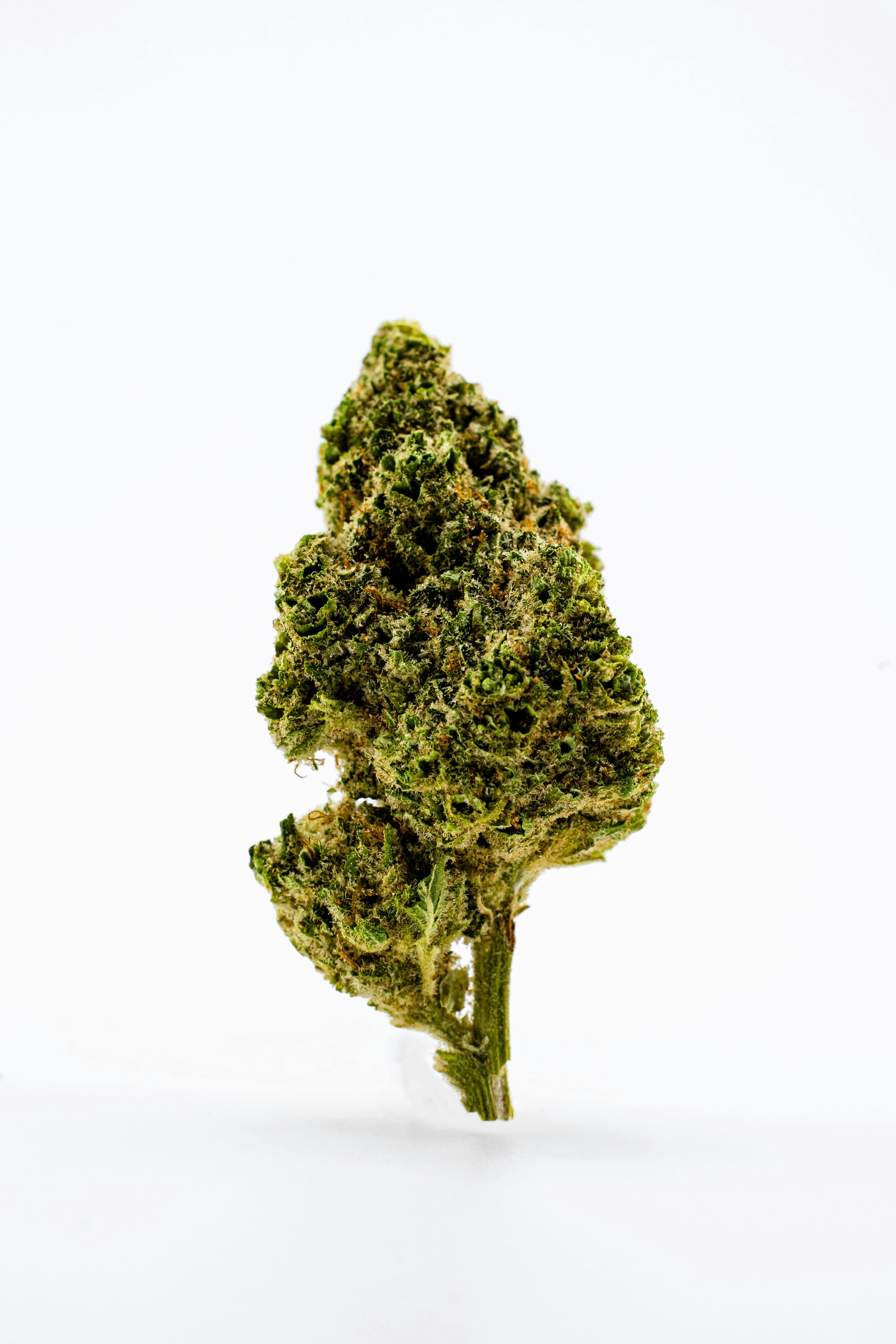 Dank Randy Marsh | Indoor Flower Bag - Strain Stars Cannabis