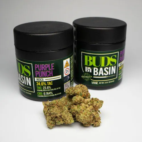 Purple Punch-active