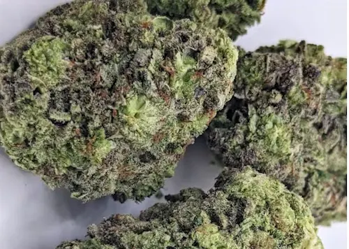 Live | Do-Si-Dos | Flower-1