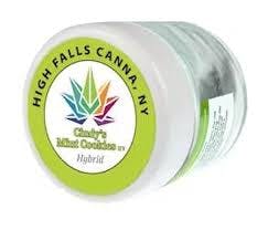 High Falls Canna | Cindy's Mint Cookies Flower Jar