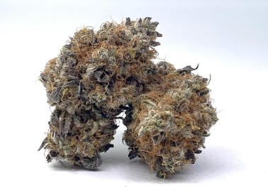 TRUE テルペン 香料 CBD CBN CBG 10ml Pie Hoe Pie-Hoe-600x600.jpg