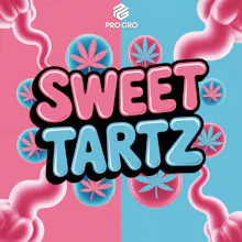 DELI - Sweet Tartz