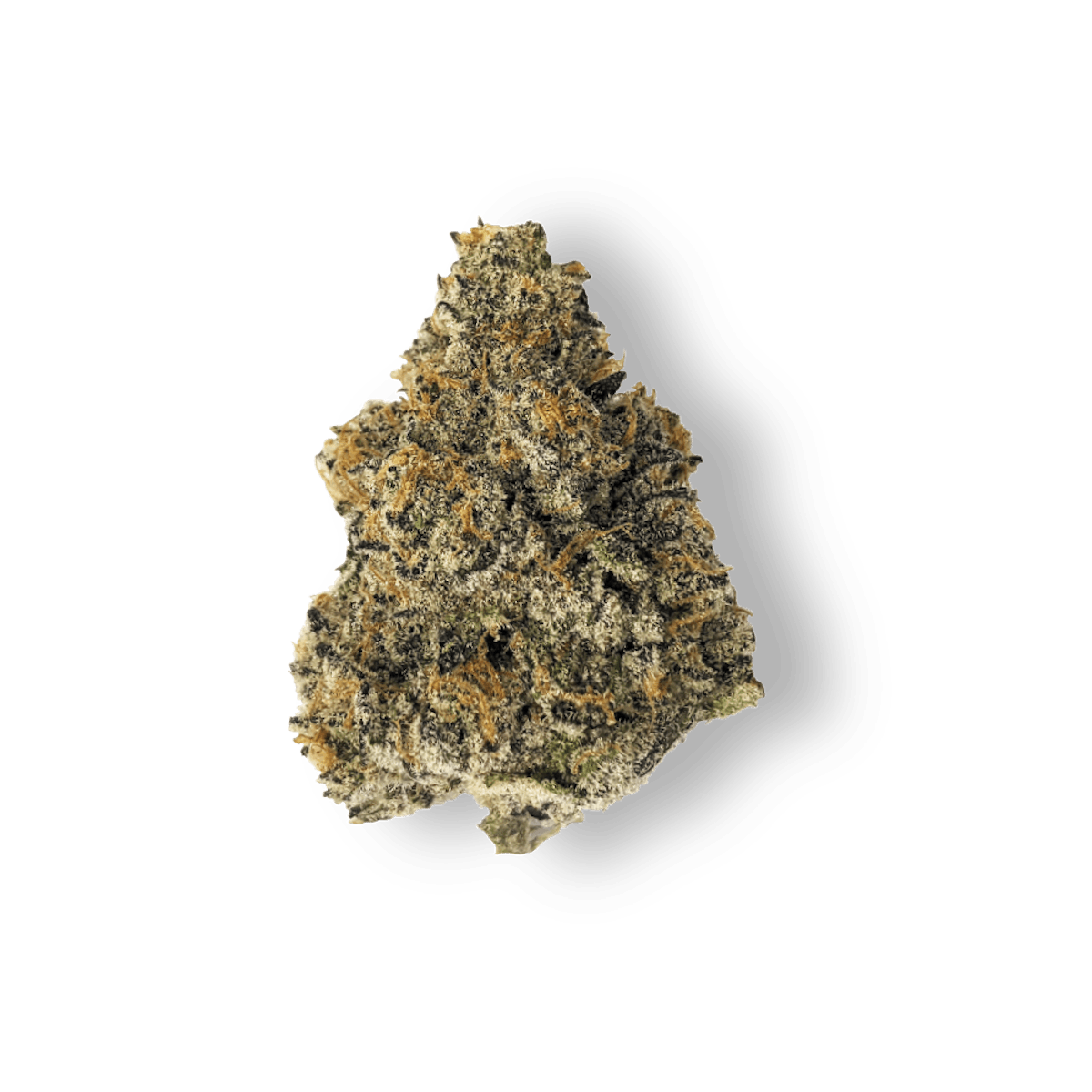 Image of Cinnamon Buddha | 3.5g Flower