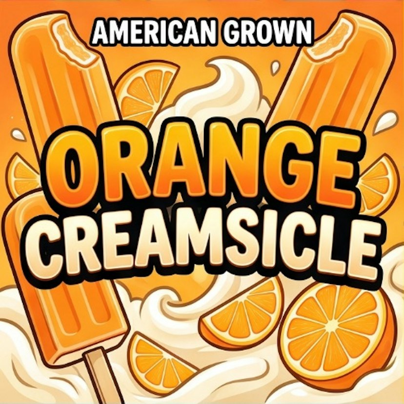 American Grown - Orange Creamsicle - Buds