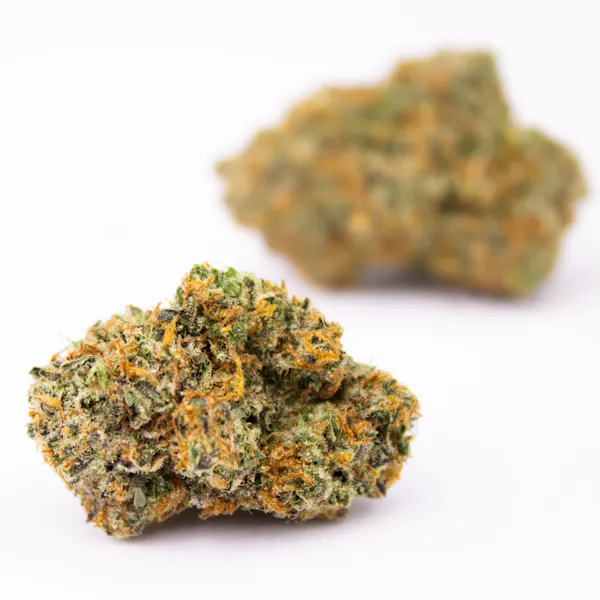 Aruna V6 Haze 3.5g 1/8oz Flower | Aruna |