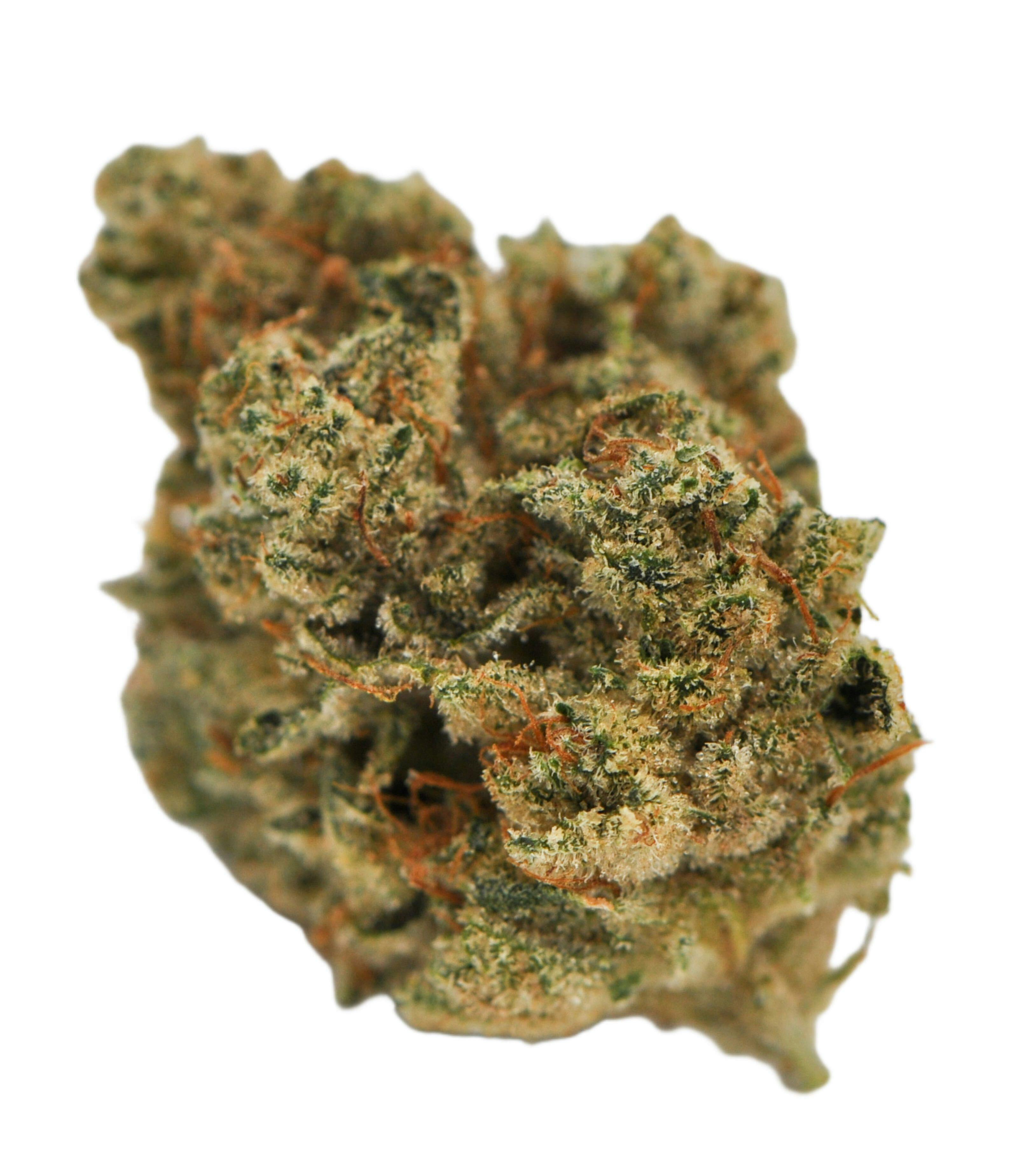 image of Gorilla Glue #4 | 3.5g Prepackaged Flower