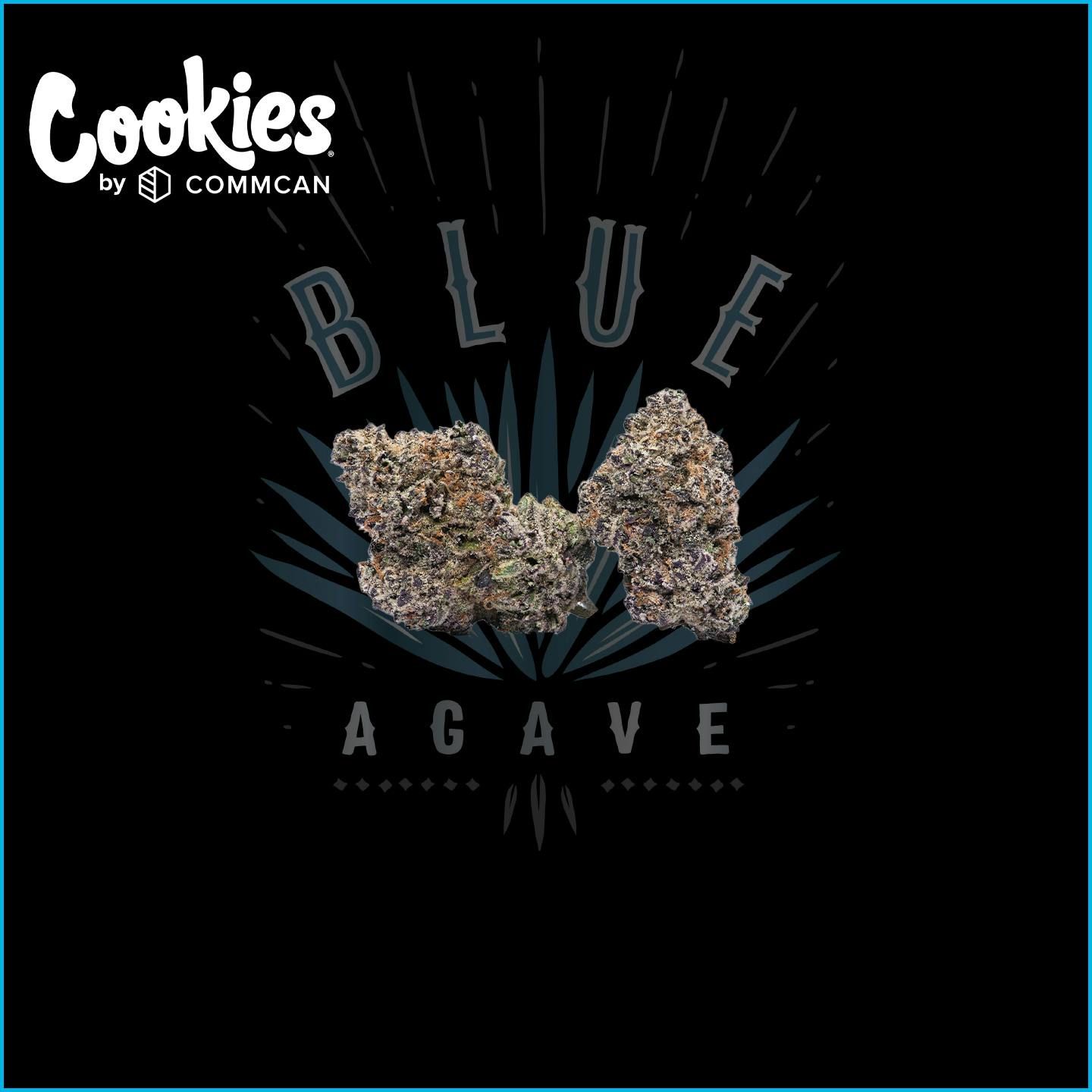 Photo of Cookies Hollywood 3.5g