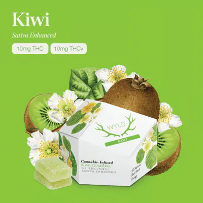  Kivi 8個セット 17e5046f803ff29660c6ff75b0f112