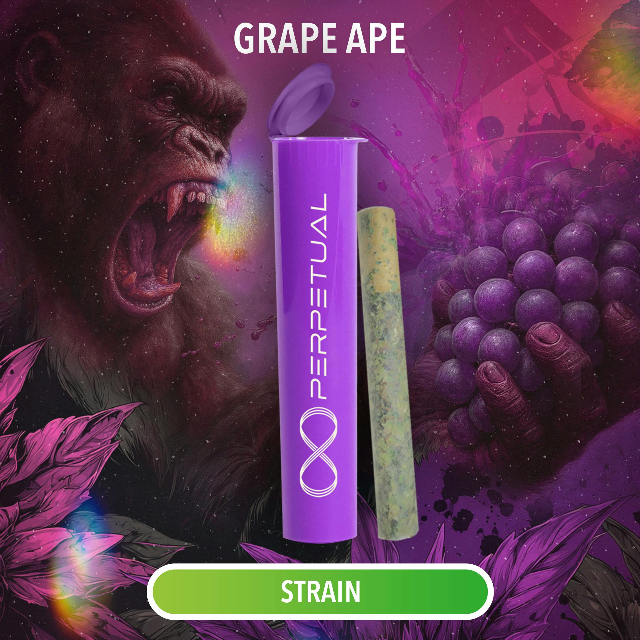 Infused Pre-Roll | Perpetual | Grape Ape Infinity Roll | 1g | Mission  Georgetown (Medical)