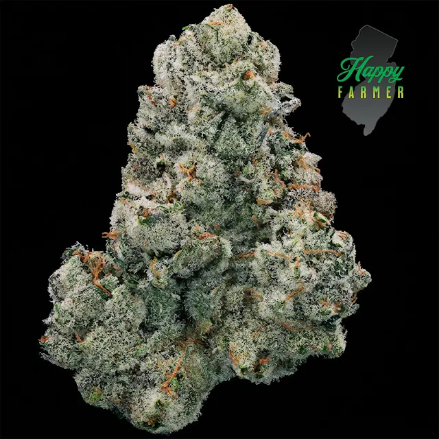 Happy Farmer Flower On Point 7g (hybrid, whole flower)