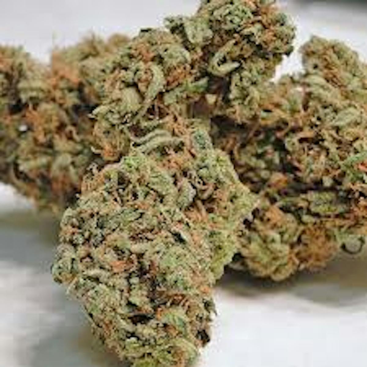 Image of Dream Berry | 14g
