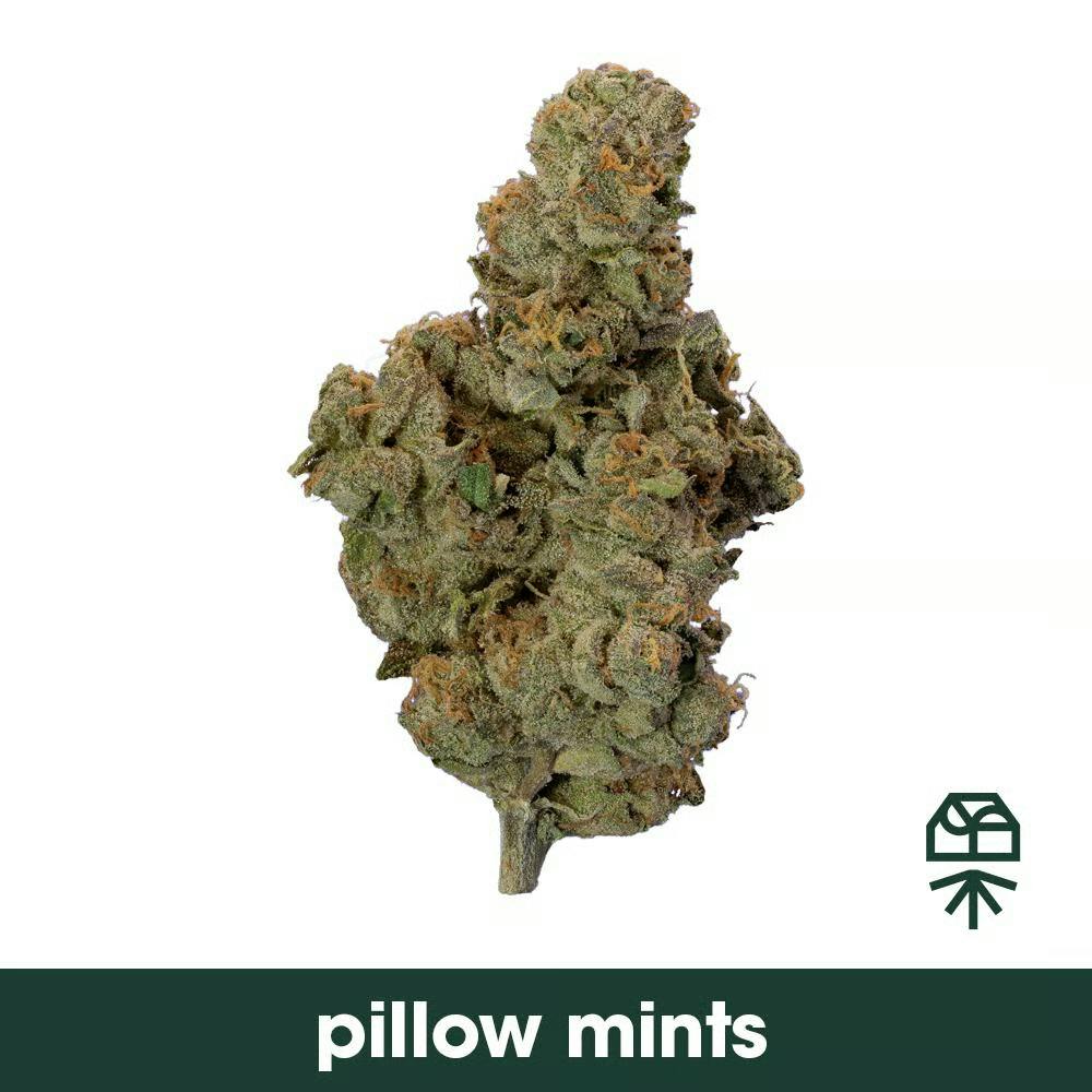 Grassroots Pillow Mints 3.5g Flower