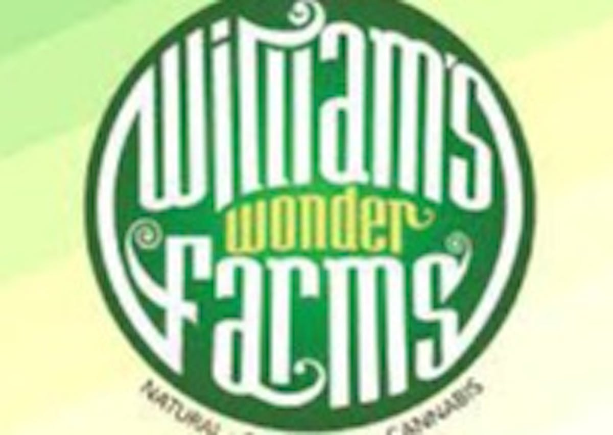 Photo of Designer Runtz (Williams Wonder)