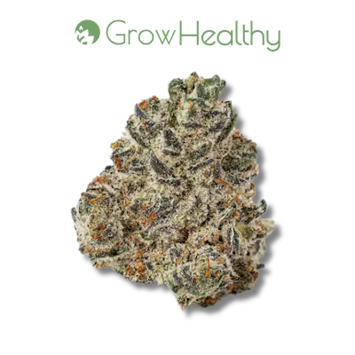 ニュース Stuart Cannabis Dispensary | GrowHealthy Dispensary