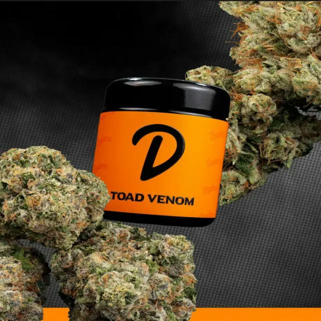 Dankems - 14g Prepack Jar - Toad Venom