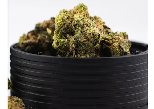 DANK | Space Jam | Indoor Grown Flower | 3.5g-4