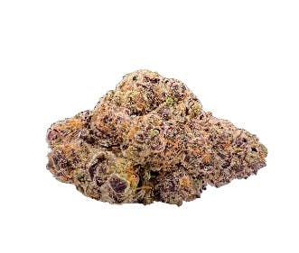 Flower | CELEBRITY - Gogurtz - Indica