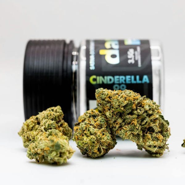 OG KUSH in New York - ZenZest - OG KUSH Near Me