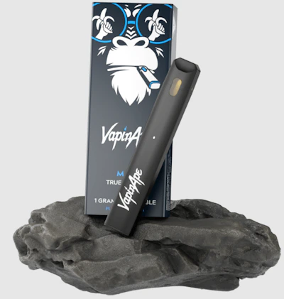 Vapin Ape - 1g Disposable - Black Cherry Kush (H)