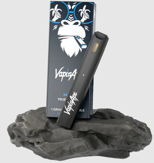Vapin Ape - 1g Disposable - Black Cherry Kush (H)