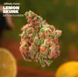 Lemon Skunk