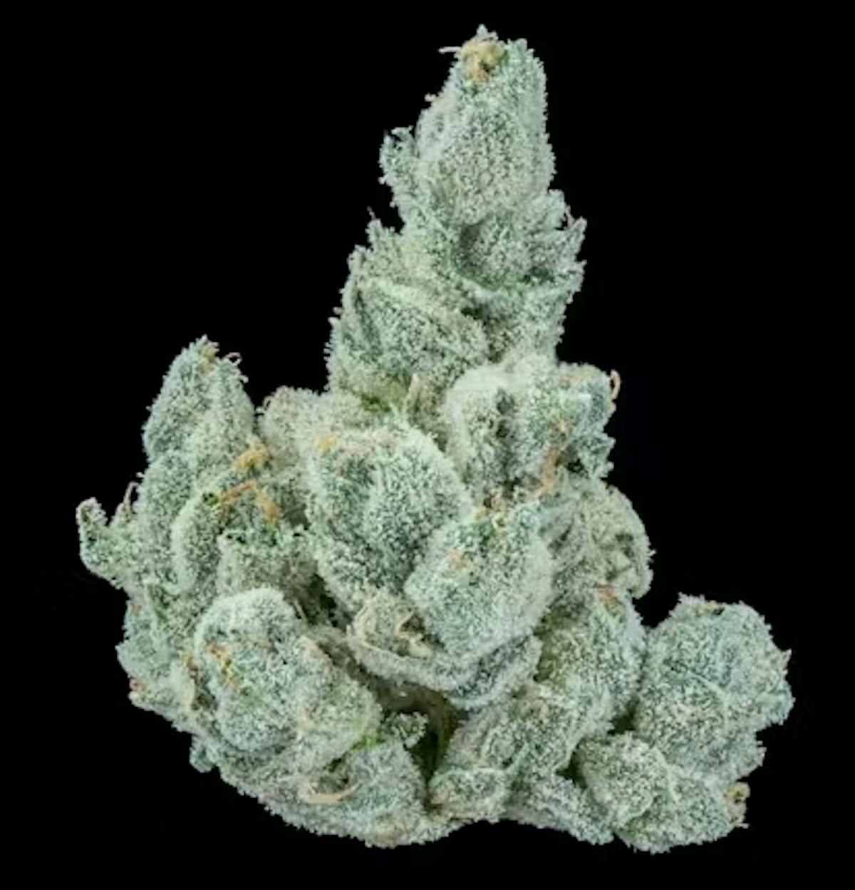 Photo of Southern Hashpitality 1g Pre-Roll Bountiful Farms